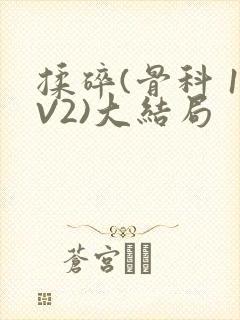 揉碎(骨科 1V2)大结局