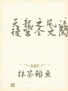 天龙之风流猎艳后宫全文阅读