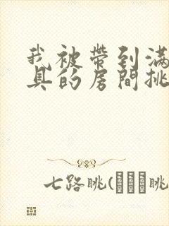 我被带到满是玩具的房间挑调作文