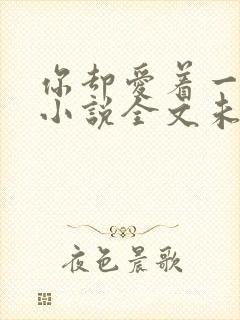 你却爱着一个他小说全文未删减免费