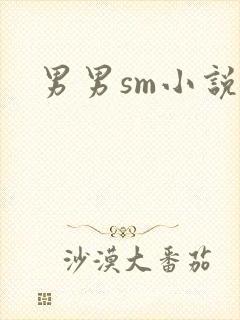 男男sm小说
