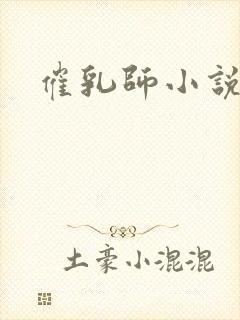 催乳师小说