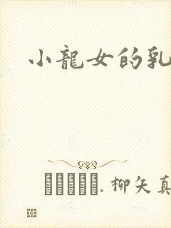 小龙女的乳头
