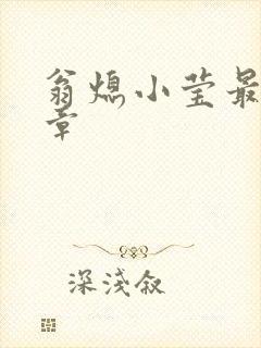 翁熄小莹最新节章