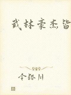 武林豪杰皆我奴