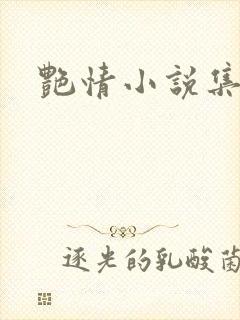 艳情小说集