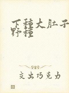 下种大肚子怀孕野种