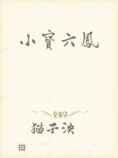 小宝六凤
