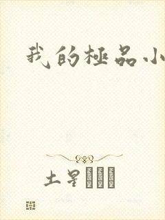 我的极品小姨