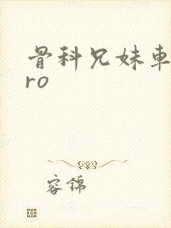 骨科兄妹车多pro