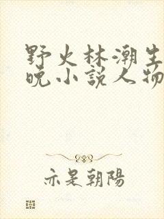 野火林潮生林晚晚小说人物野火