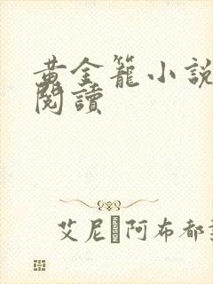 黄金笼小说免费阅读