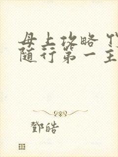 母上攻略 竹影随行第一主板