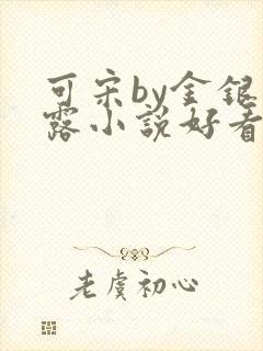 可宋by金银花露小说好看吗