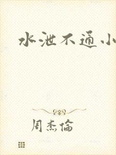 水泄不通小说