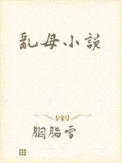 乱母小说