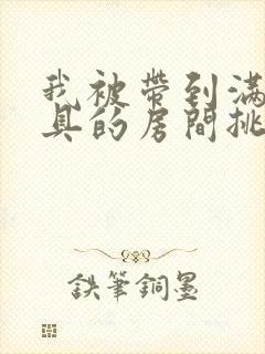 我被带到满是玩具的房间挑调作文