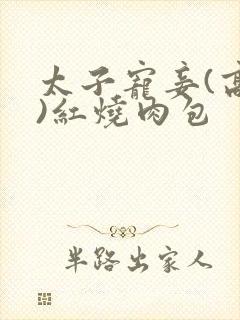 太子宠妾(高肉)红烧肉包