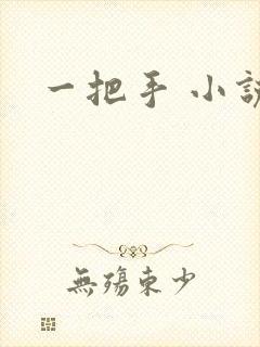 一把手 小说