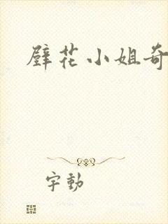 壁花小姐奇遇记