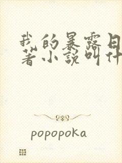 我的暴露日记原著小说叫什么