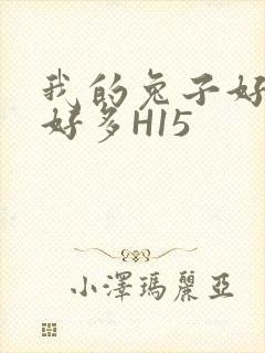 我的兔子好软水好多H15