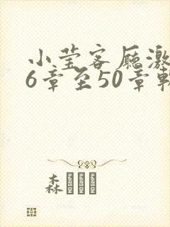 小莹客厅激情46章至50章软件介绍