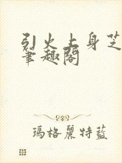 引火上身芝麻糖笔趣阁