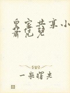 皇家共享小公主萧凭儿