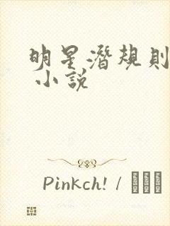 明星潜规则之皇 小说