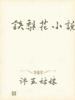 铁梨花小说