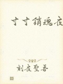 寸寸销魂夜春光