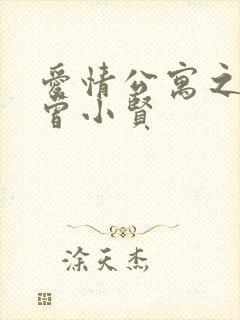 爱情公寓之极品曾小贤