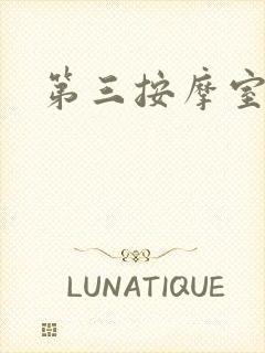 第三按摩室小说