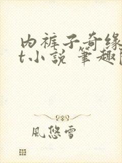 内裤子奇缘txt小说 笔趣阁