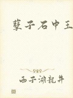 孽子石中玉