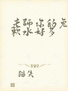 老师你的兔子好软水好多