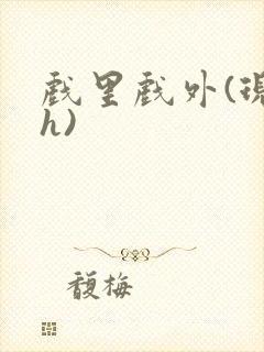 戏里戏外(现场h)