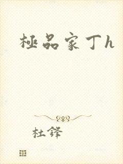 极品家丁h