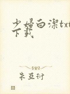 少妇白洁txt下载