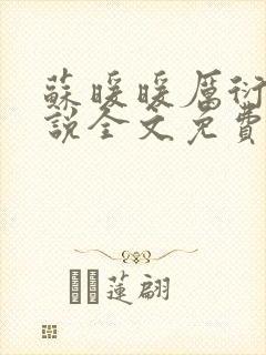 苏暖暖厉衍琛小说全文免费阅读