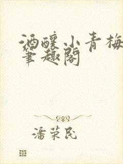 酒酿小青梅po笔趣阁