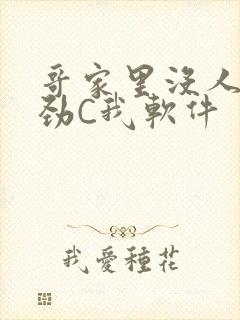 哥家里没人使点劲C我软件