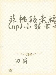 苏桃的幸福生活(np)小说笔趣阁沐沐