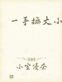 一手抚大小说