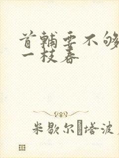 首辅要不够po一枝春