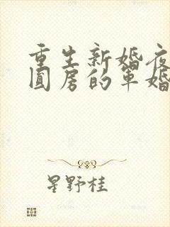 重生新婚夜正在圆房的军婚