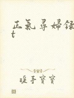 正气寻妇录txt