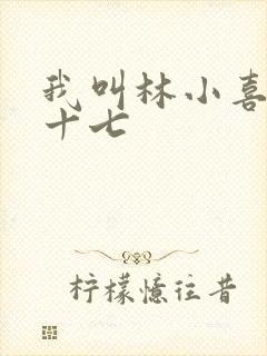 我叫林小喜今年十七
