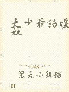 大少爷的暖床小奴